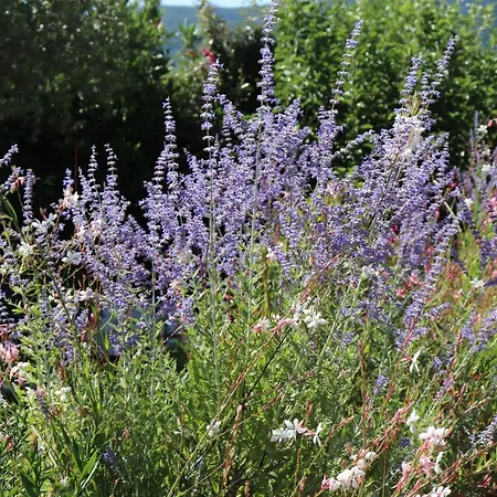 D'hotes Du Capimont Panzió