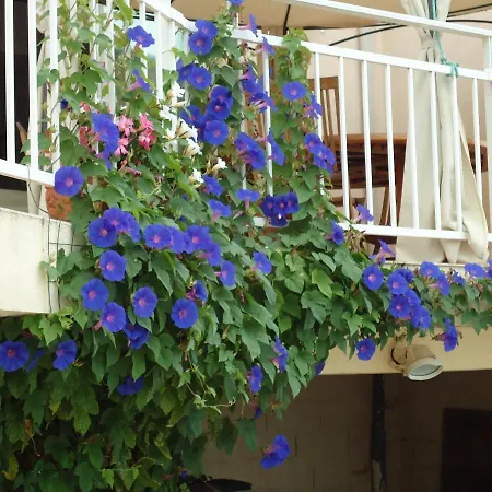 D'hotes Du Capimont 3*