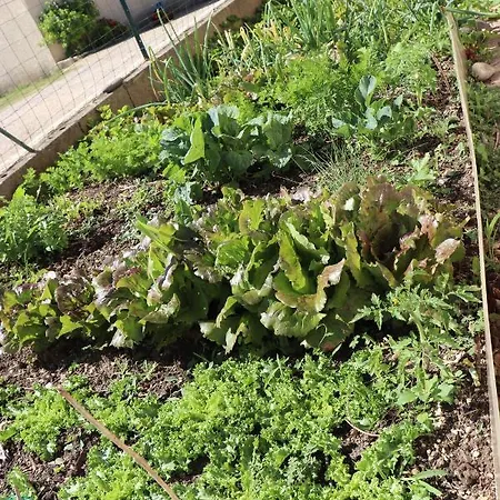 Panzió D'hotes Du Capimont Hérépian