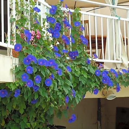D'hotes Du Capimont Bed and breakfast